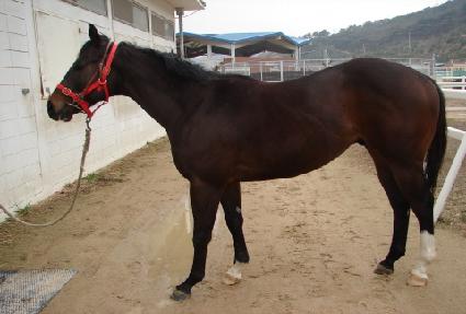 ��±�� ����