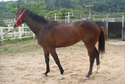 ���� ����