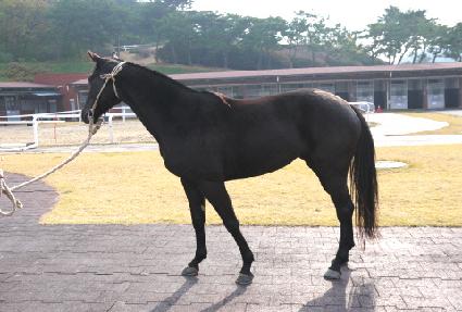 Ư��Ű ����