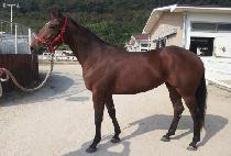 ������ (SEOLLEIM) ����