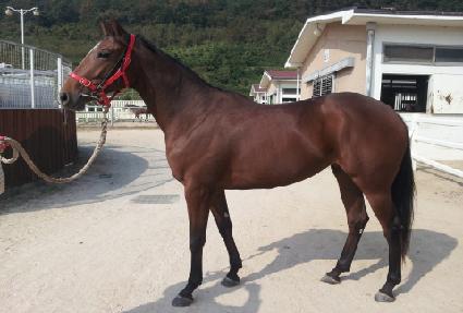 ������ ����