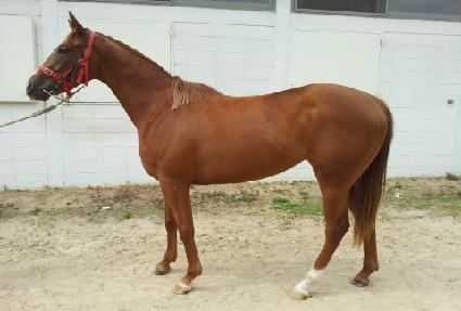 �̽��� ����