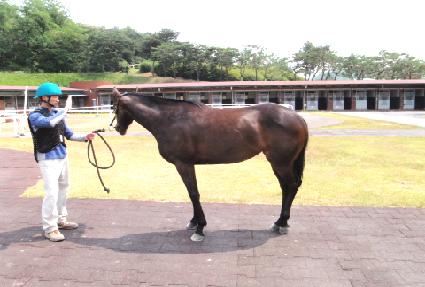 ����� ����