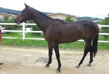 ���ϵ���� ����