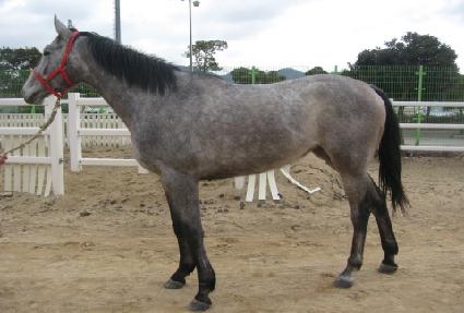 �¸����� ����