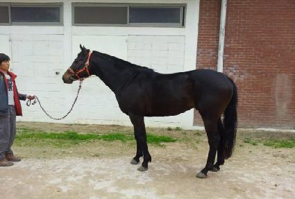 �������� ����