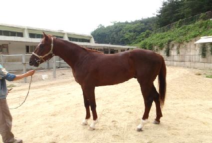 ���ش�� ����