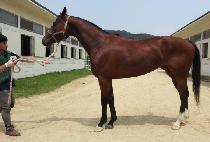 �������Ϸ��� (SWING SILENCE) ����