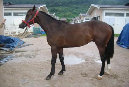 �ڼ����� ����