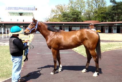 �λ꼺���̵� ����