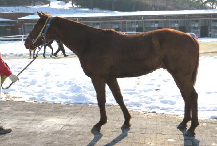 ������̴� ����