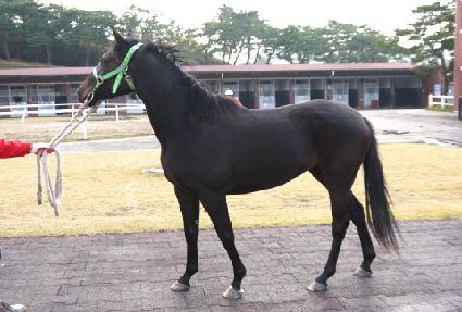 ��ȭ ����