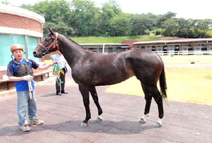 ���ķ�� ����