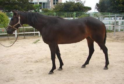 ���̴�ȣũ ����