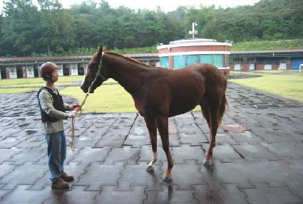 �㽺Ʈķ�� ����