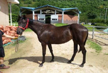 ���ī�� ����