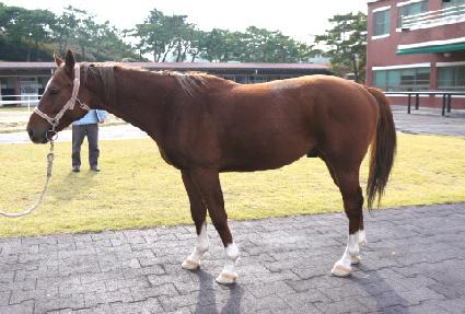 ��Ʋ�䰡���� ����