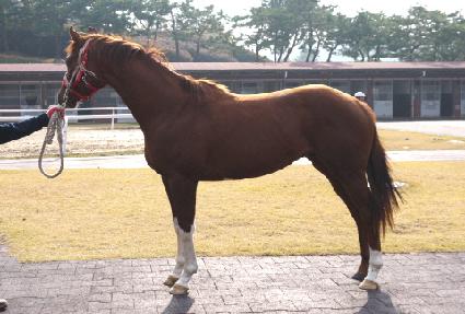 �Ұ�� ����