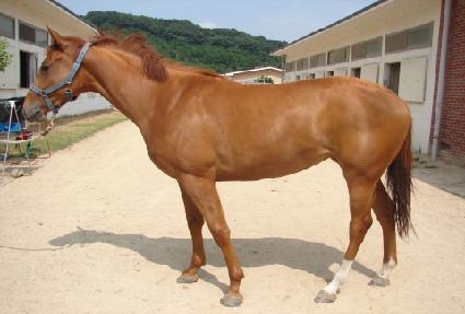 ũ���ź�� ����