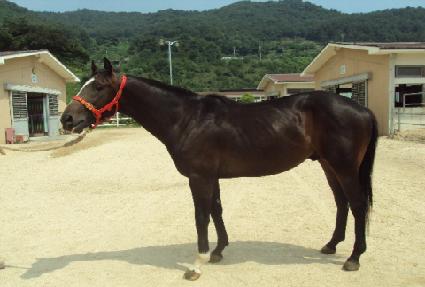 õ���ô� ����