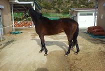 �ݺ����� (GEUMBIT JEPAE) ����