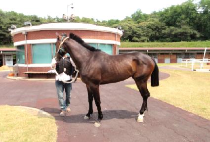 Ƽ���� ����