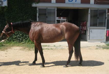 �������� ����