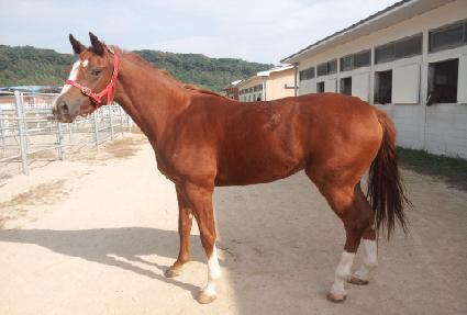 ũ������ȣũ ����