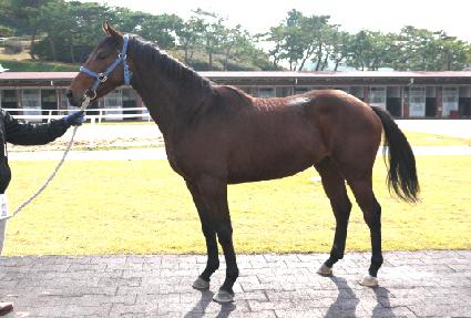 ����ĸ� ����