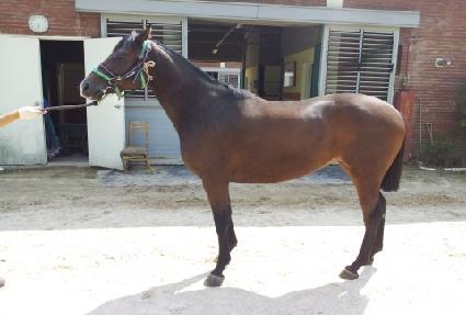 ����̾����� ����