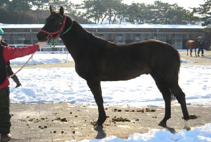 ����� ����