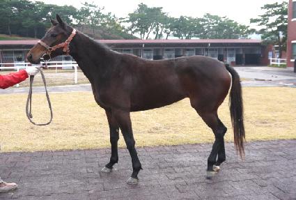 Ź���Ѽ��� ����