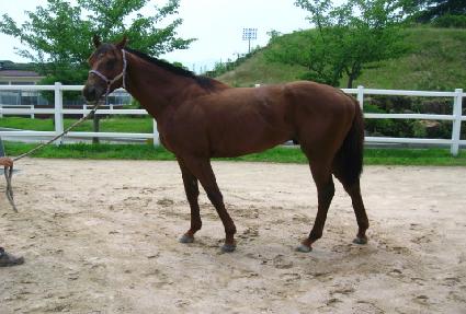 �������� ����