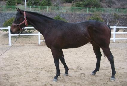 �ʿ��ǿ��� ����