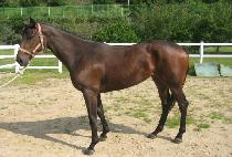 GAMDONGUI SEUNGNI picture