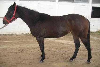 ����Ʈ��� ����