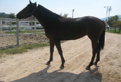 �ູ���̷��� ����