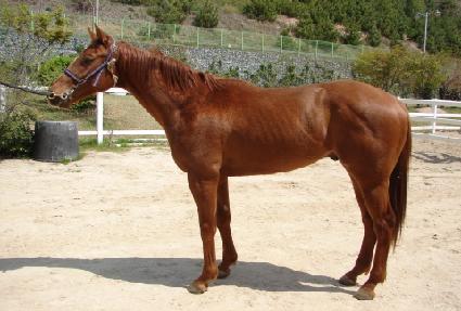 �ູ�÷��� ����