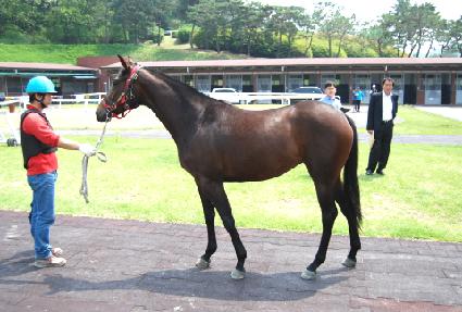 ��̺�Ȱ ����