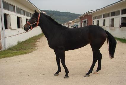 �극�κ��� ����