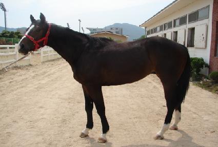 ��ǳ ����