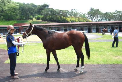 Ȳ�ݺ����� ����