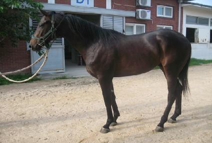 ��ũ����Ʈ ����