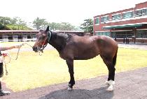 �����ǿ��� (JISANGUI YEOWANG) ����