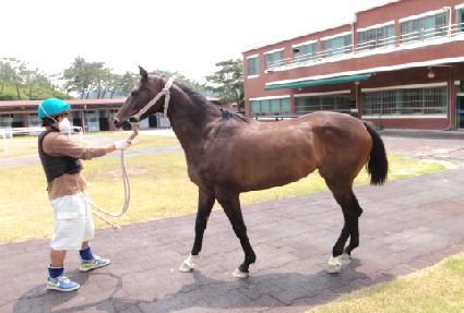 �Ʊ׸��� ����