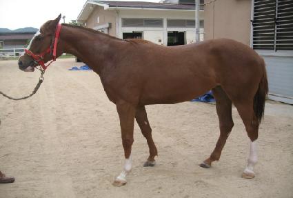 �Ƴ׸�� ����