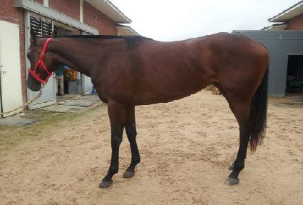 �����ѿ��� ����