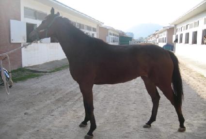 ���溼Ʈ ����