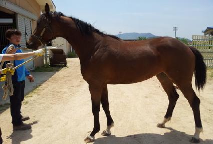 �븮���� ����