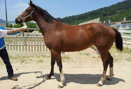 �������� ����